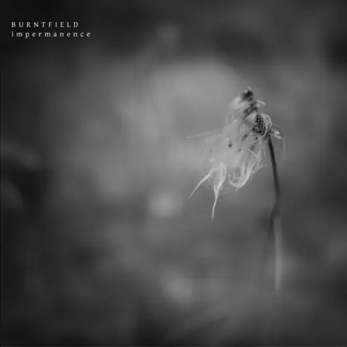 Impermanence Crafted
