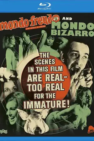Mondo Freudo / Mondo Bizarro Price Drop