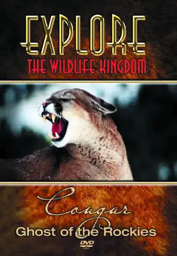 Explore the Wildlife Kingdom: Cougar Ghost of the Rockies Editor’s Pick