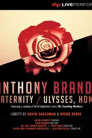 Maternity / Ulysses Home Limited Offer