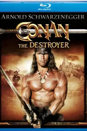 Professional Grade Conan the Destroyer