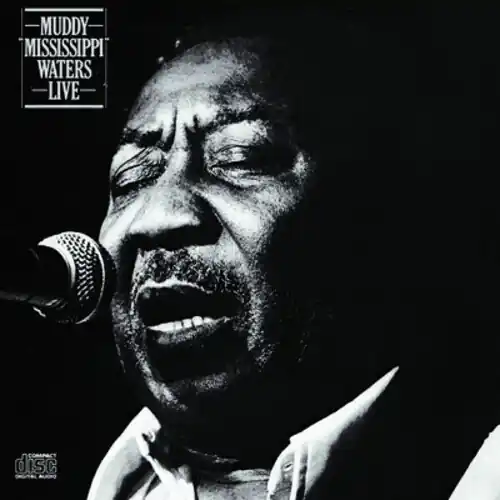 Brand New Muddy Waters Live