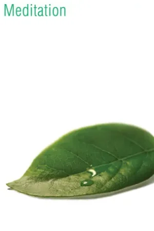 Professional Grade For Meditation