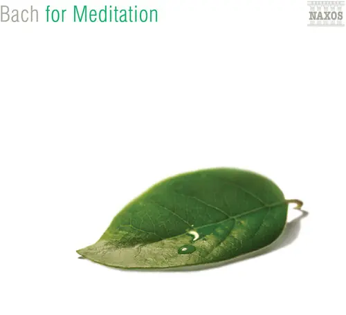 Professional Grade For Meditation