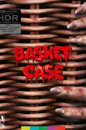 Basket Case Next Day Delivery