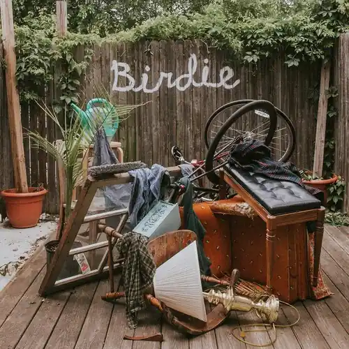 Birdie Free Returns