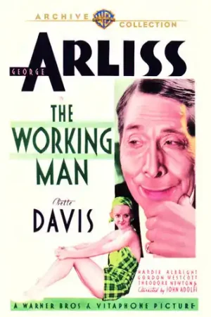 The Working Man Direct From Factory