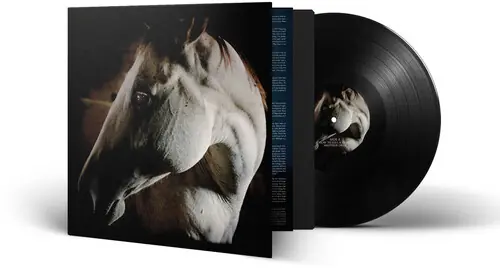 No Minimum Order How To Kill A Horse