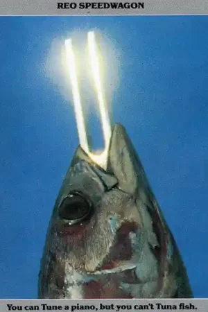 Clearance You Can Tune A Piano, But You Can't Tuna Fish