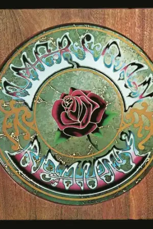 Brand New American Beauty