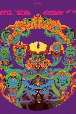 Professional Grade Anthem Of The Sun (1971 Remix) [LP]