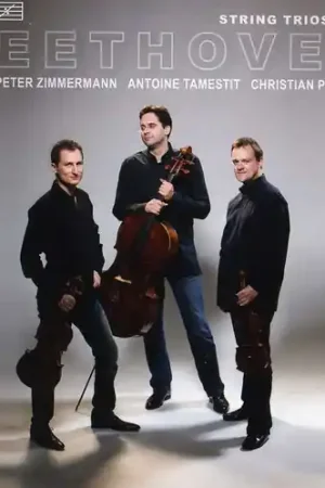 String Trios Flash Sale