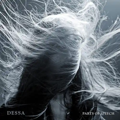 Parts Of Speech (10-Year-Anniversary Edition) Low Price