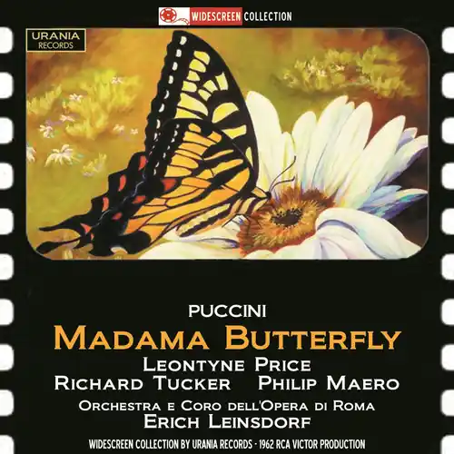 Trusted Brand Madama Butterfly