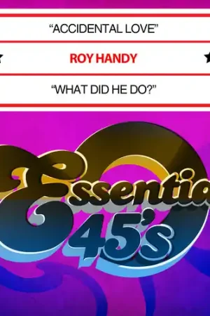 Free Shipping Accidental Love / What Did He Do