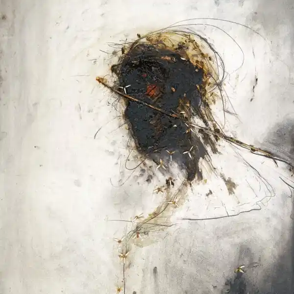 Peter Gabriel - Passion (2 LPs) Premium