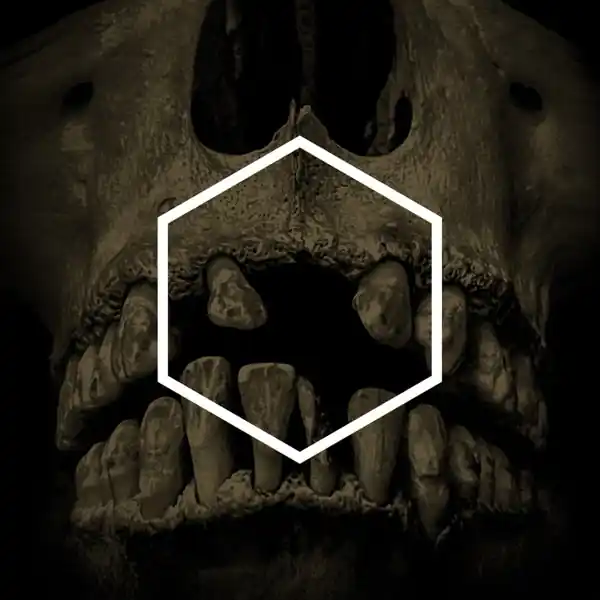 Various - Others (3 LPs) Don’t Miss Out