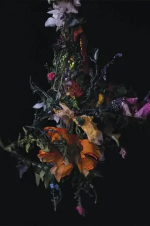Buy Direct Big Brave - Nature Morte (LP)