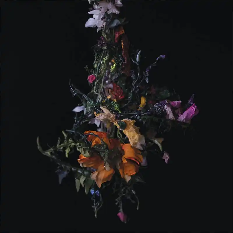 Buy Direct Big Brave - Nature Morte (LP)