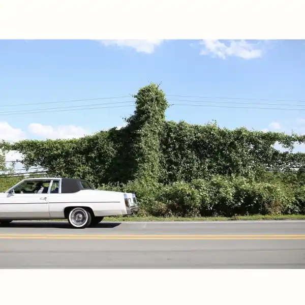 Cory Branan - When I Go I Ghost (LP) Exclusive