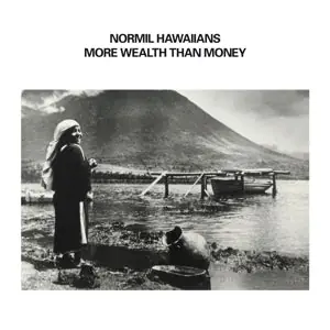 Normil Hawaiians - More Wealth Than Money (2 LPs) Flash Sale