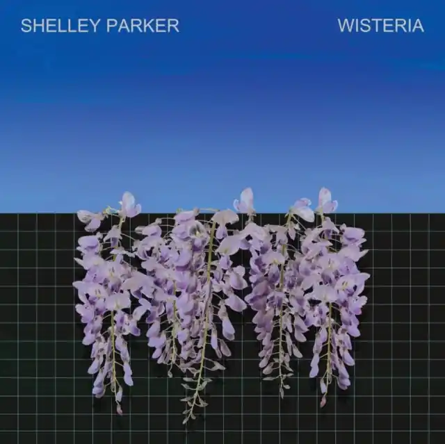 PARKER,SHELLEY - WISTERIA (2LP) (Vinyl LP) Markdown