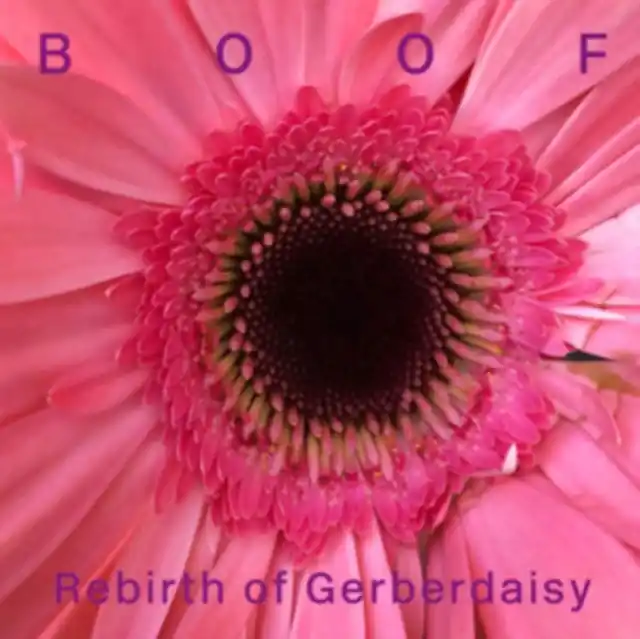 BOOF - REBIRTH OF GERBERDAISY (Vinyl LP) Sale